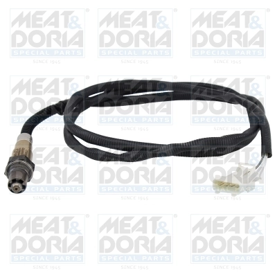 Oxygen Sensor
